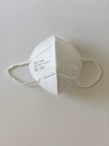N-95 Disposable Face Mask 10 pcs. Bag